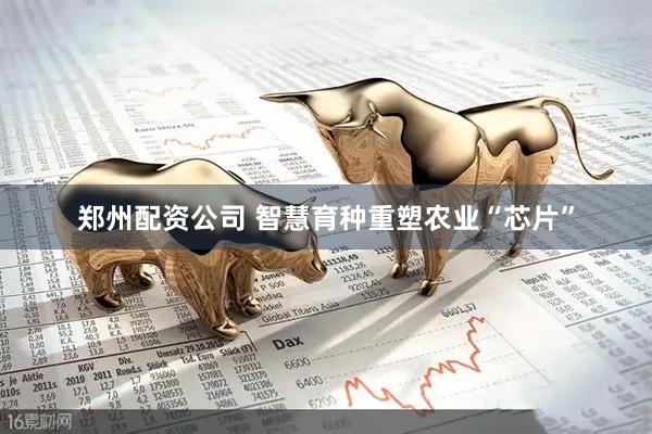 郑州配资公司 智慧育种重塑农业“芯片”